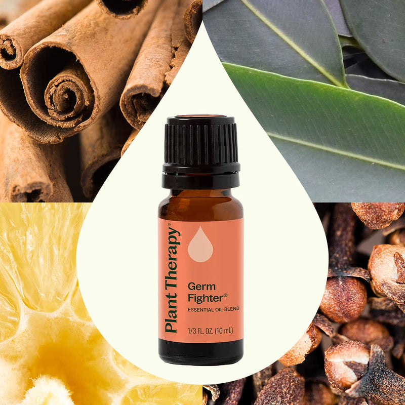 Plant Therapy Germ Fighter Essential Oil Blend Essential Oil Seashell 10 mL,30 mL,100 mL