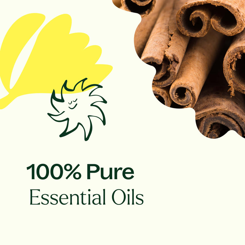 Plant Therapy Germ Fighter Essential Oil Blend Essential Oil