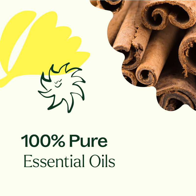 Plant Therapy Germ Fighter Essential Oil Blend Essential Oil Seashell 10 mL,30 mL,100 mL