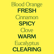 Plant Therapy Germ Fighter Carpet Refresher Household