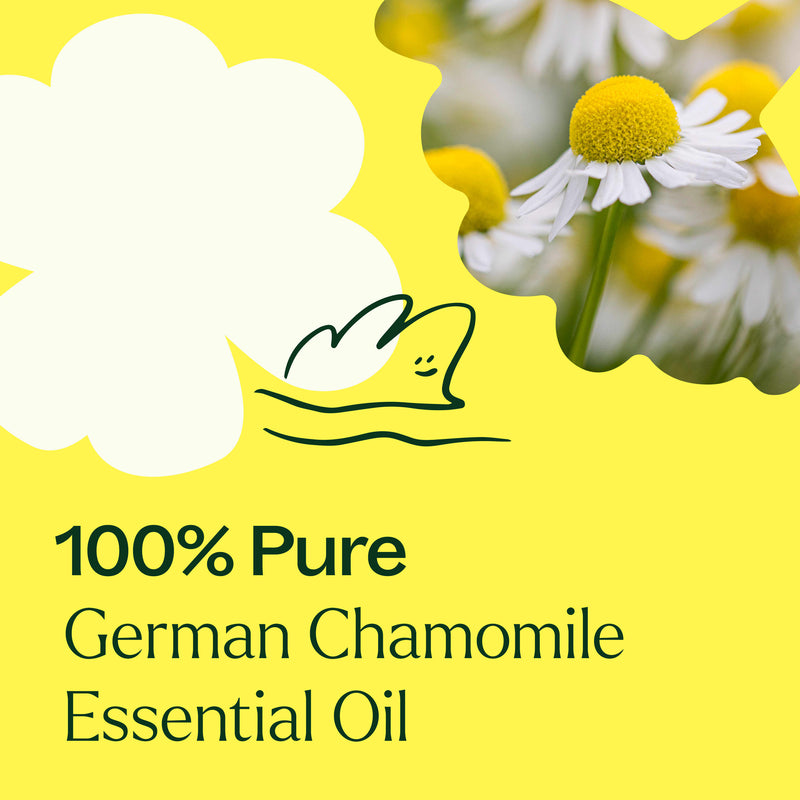 Plant Therapy German Chamomile Essential Oil Essential Oil