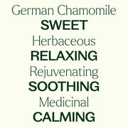 Plant Therapy German Chamomile Essential Oil Essential Oil Seashell 5 mL,10 mL