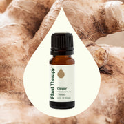 Plant Therapy Ginger Essential Oil Essential Oil