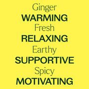 Plant Therapy Ginger Essential Oil Essential Oil