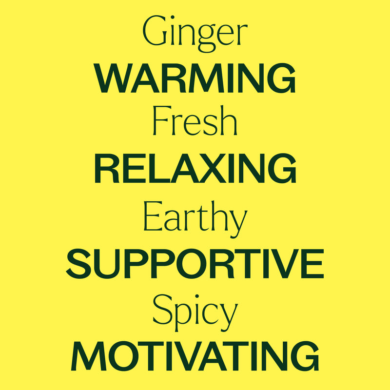 Plant Therapy Ginger Essential Oil Essential Oil