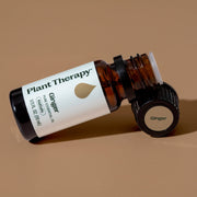 Plant Therapy Ginger Essential Oil Essential Oil