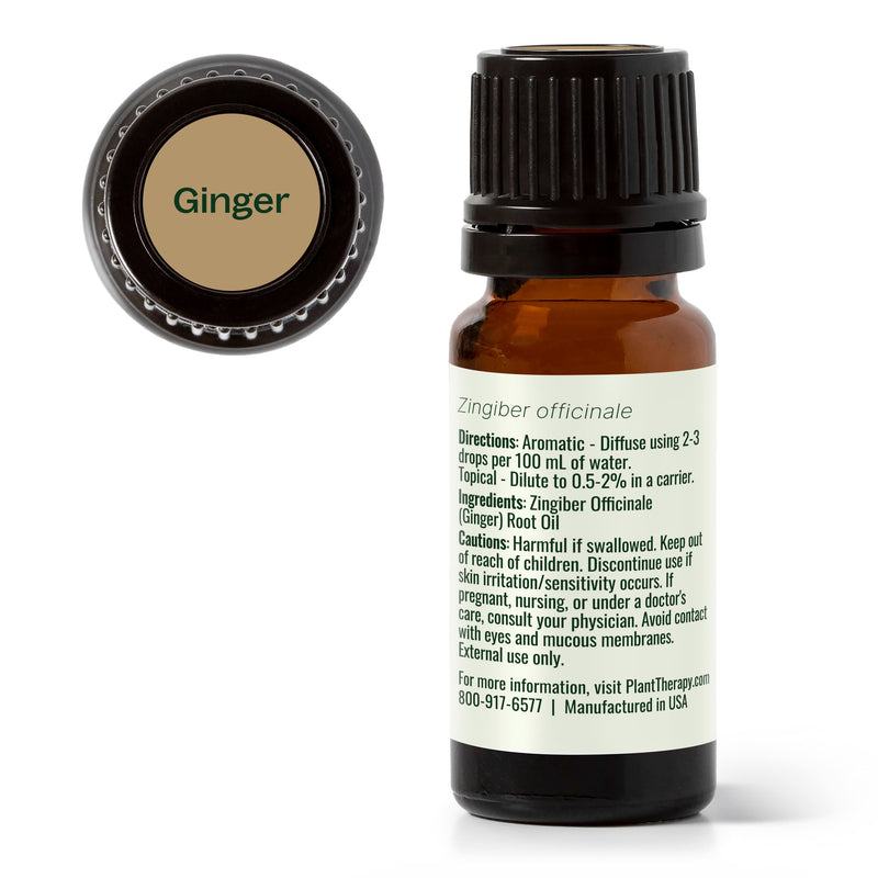 Plant Therapy Ginger Essential Oil Essential Oil