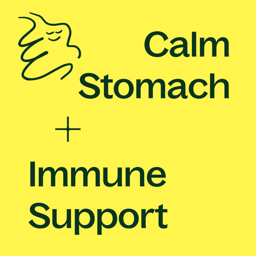 Plant Therapy Ginger Root Herbal Supplement - 120 Capsules Supplement