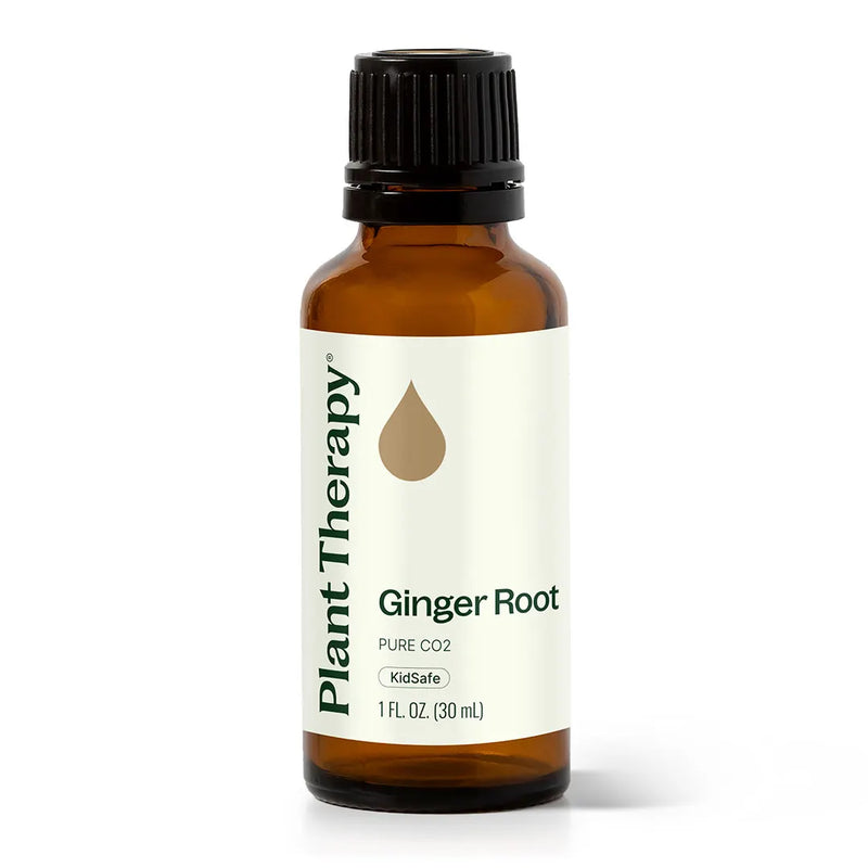 Plant Therapy Ginger Root CO2 Extract Essential Oil