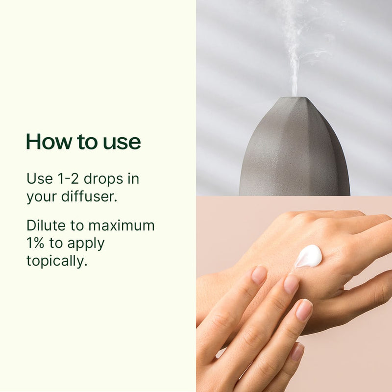 Plant Therapy Ginger Root CO2 Extract Essential Oil