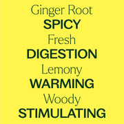 Plant Therapy Ginger Root CO2 Extract Essential Oil
