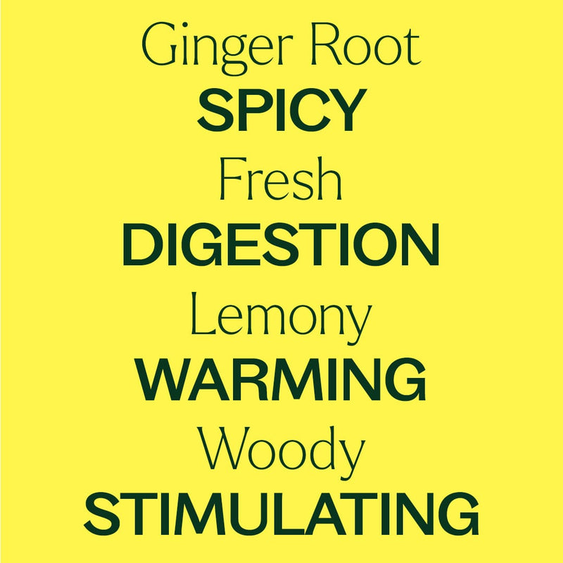 Plant Therapy Ginger Root CO2 Extract Essential Oil