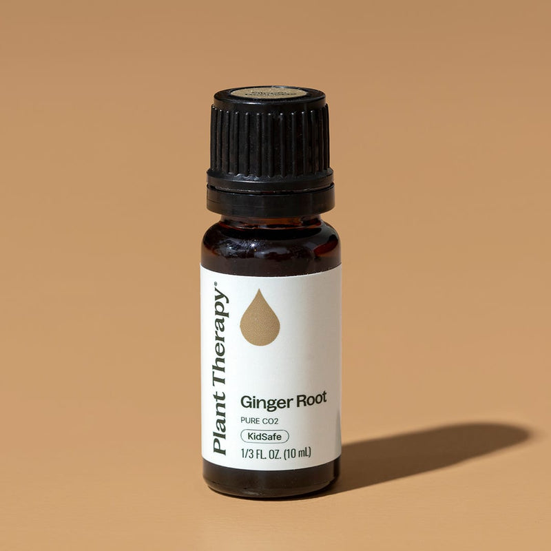Plant Therapy Ginger Root CO2 Extract Essential Oil