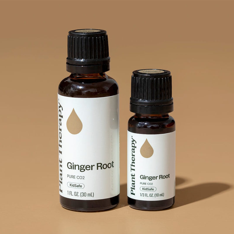 Plant Therapy Ginger Root CO2 Extract Essential Oil