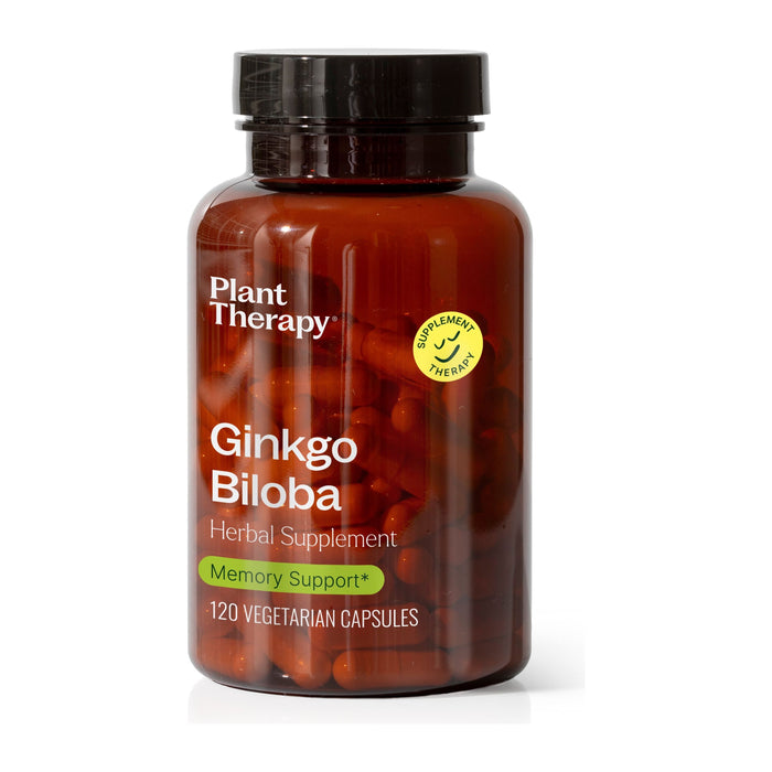 Ginkgo Biloba Herbal Supplement - 120 Capsules