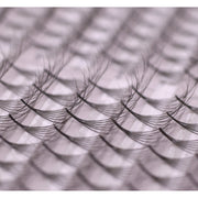 GladGirl 6D Double Layered Signature Mink PreMade Lash Fans - CC Curl & D Curl 0.03 x 8-15mm Eyelashes