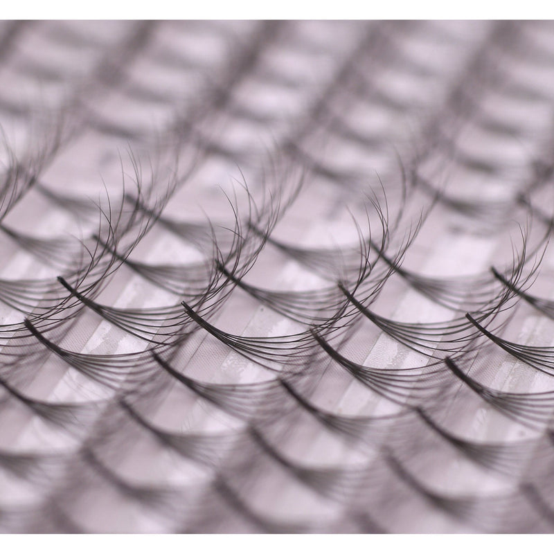 GladGirl 6D Double Layered Signature Mink PreMade Lash Fans - CC Curl & D Curl 0.03 x 8-15mm Eyelashes