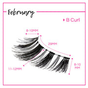 GladGirl GladGirl False Lash Kit - February Eyelashes