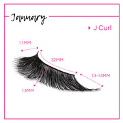 GladGirl GladGirl False Lash Kit - January Eyelashes