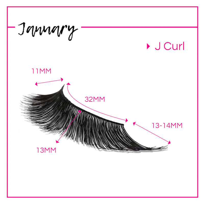 GladGirl GladGirl False Lash Kit - January Eyelashes