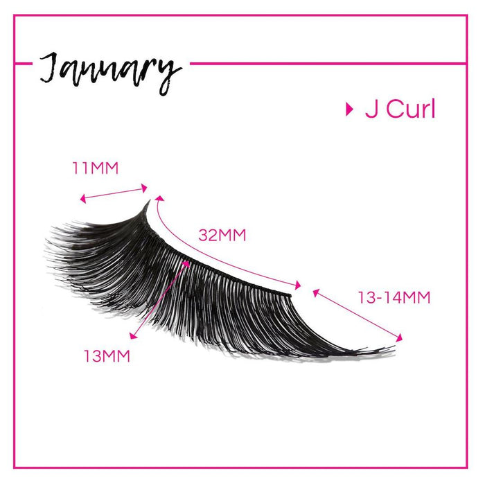 GladGirl False Lash Kit - January