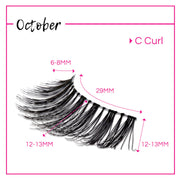 GladGirl GladGirl False Lashes Bundle - October Eyelashes