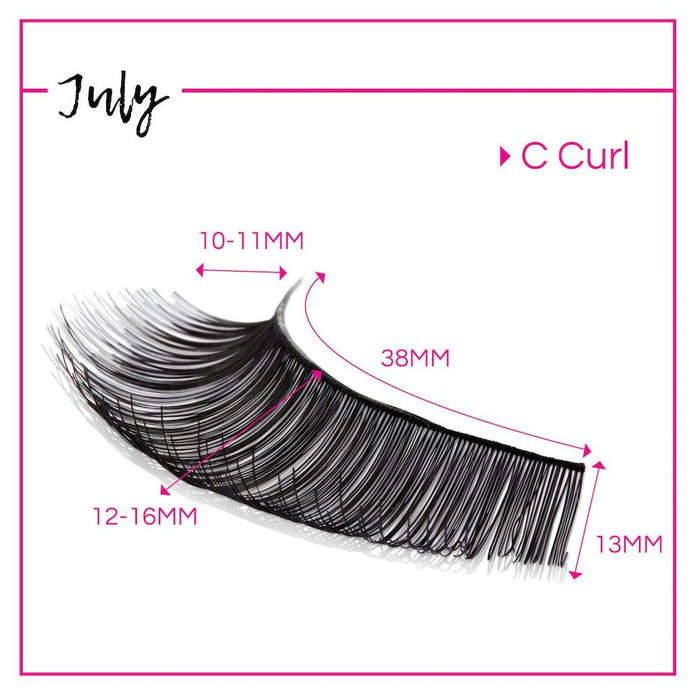 GladGirl False Lash Kit - July