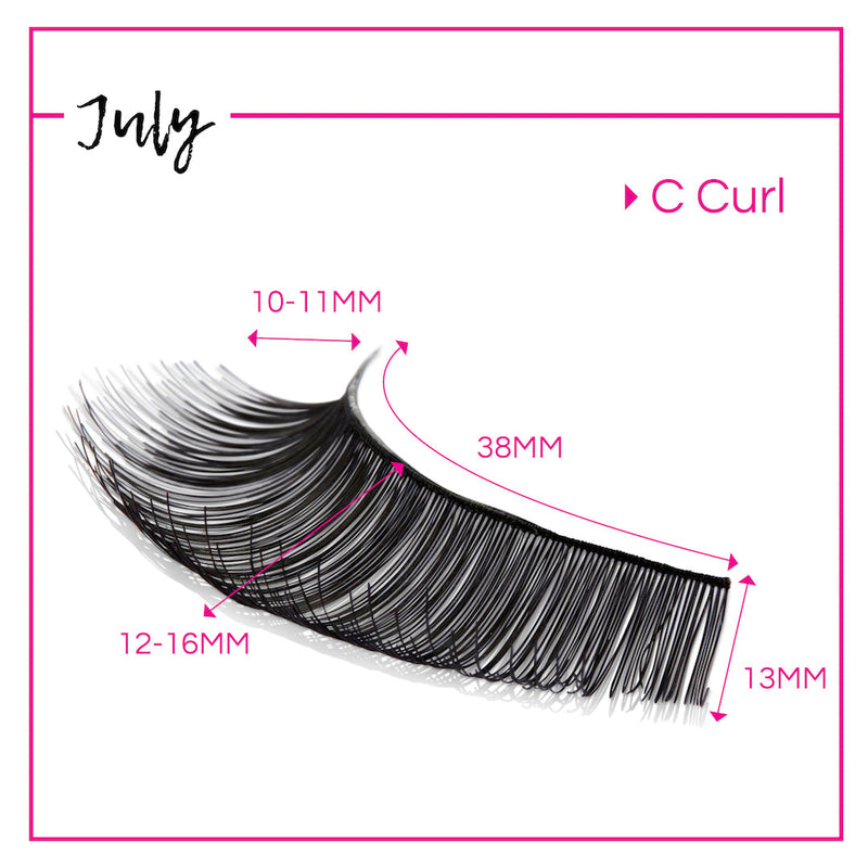 GladGirl GladGirl False Lash Kit - July Eyelashes
