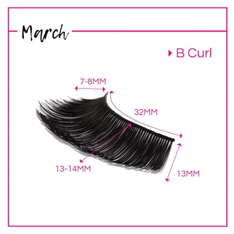 GladGirl GladGirl False Lashes Bundle - March Eyelashes