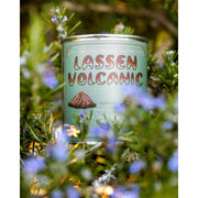 Good & Well Supply Co Lassen Volcanic National Park Candle Candles