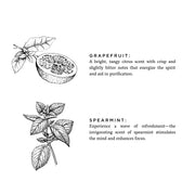 Slow North Grapefruit + Spearmint - Signature Candle Frosted Candles