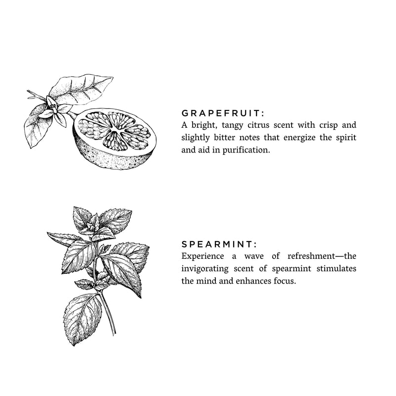 Slow North Grapefruit + Spearmint - Signature Candle Frosted Candles