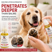 Warren London Grapeseed Oil Paw & Nose Revitalizer Spa Product