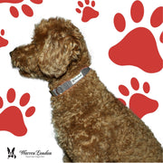 Warren London Fabric Dog Collar - Grey Leashes, Collars & Accessories