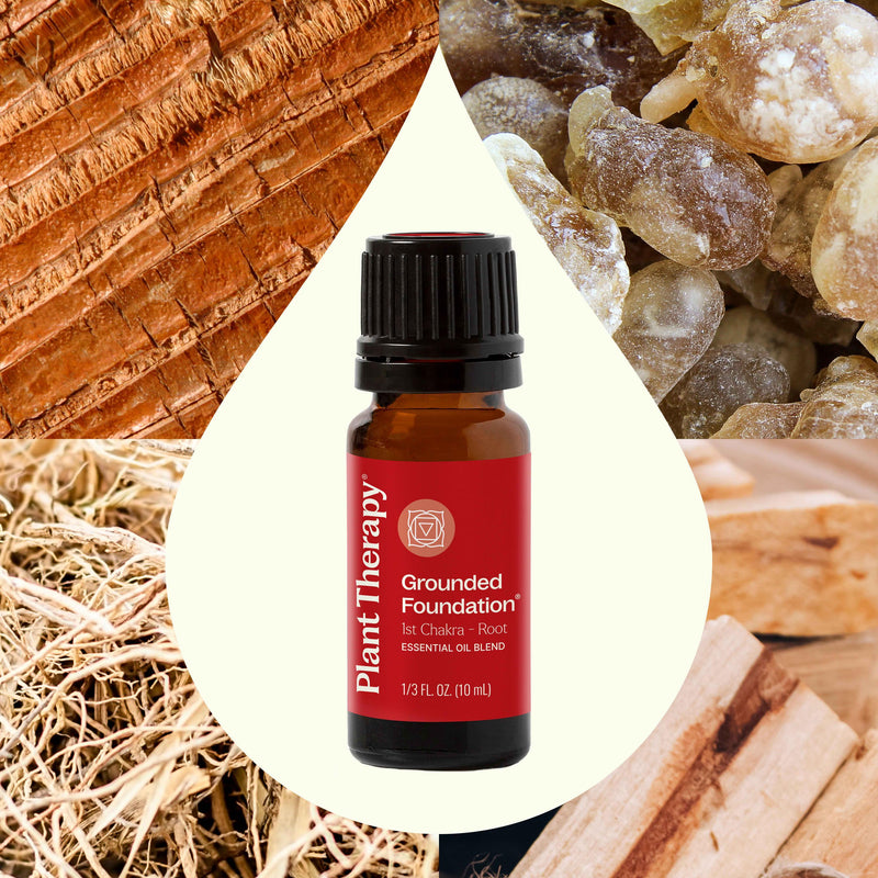 Plant Therapy Grounded Foundation (Root Chakra) Essential Oil Essential Oil