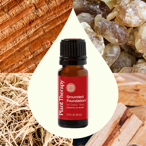 Plant Therapy Grounded Foundation (Root Chakra) Essential Oil Essential Oil