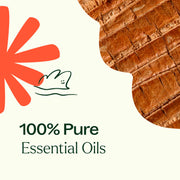 Plant Therapy Grounded Foundation (Root Chakra) Essential Oil Essential Oil