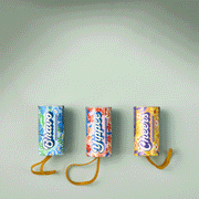 Modern Sprout Seed Confetti Popper Playful Planting