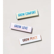 Modern Sprout Bright Side Seed Balls Playful Planting