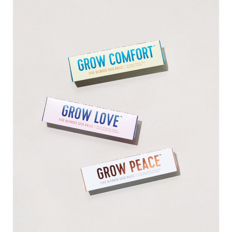 Modern Sprout Bright Side Seed Balls Playful Planting