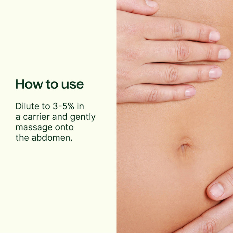 Plant Therapy Gut Aid™ Essential Oil Blend Essential Oil