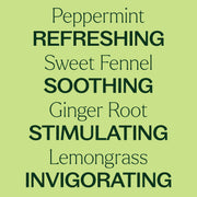 Plant Therapy Gut Aid™ Essential Oil Blend Pre-Diluted Roll-On Essential Oil