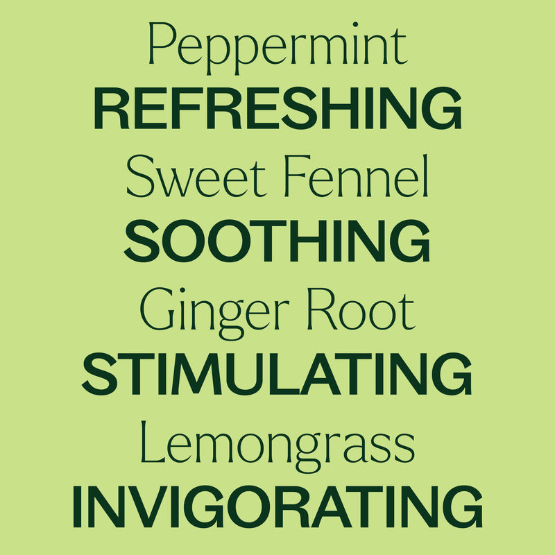 Plant Therapy Gut Aid™ Essential Oil Blend Pre-Diluted Roll-On Essential Oil