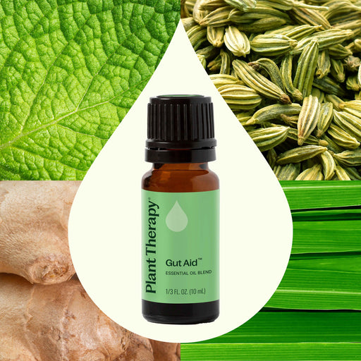 Plant Therapy Gut Aid™ Essential Oil Blend Essential Oil