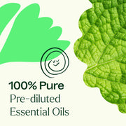 Plant Therapy Gut Aid™ Essential Oil Blend Pre-Diluted Roll-On Essential Oil