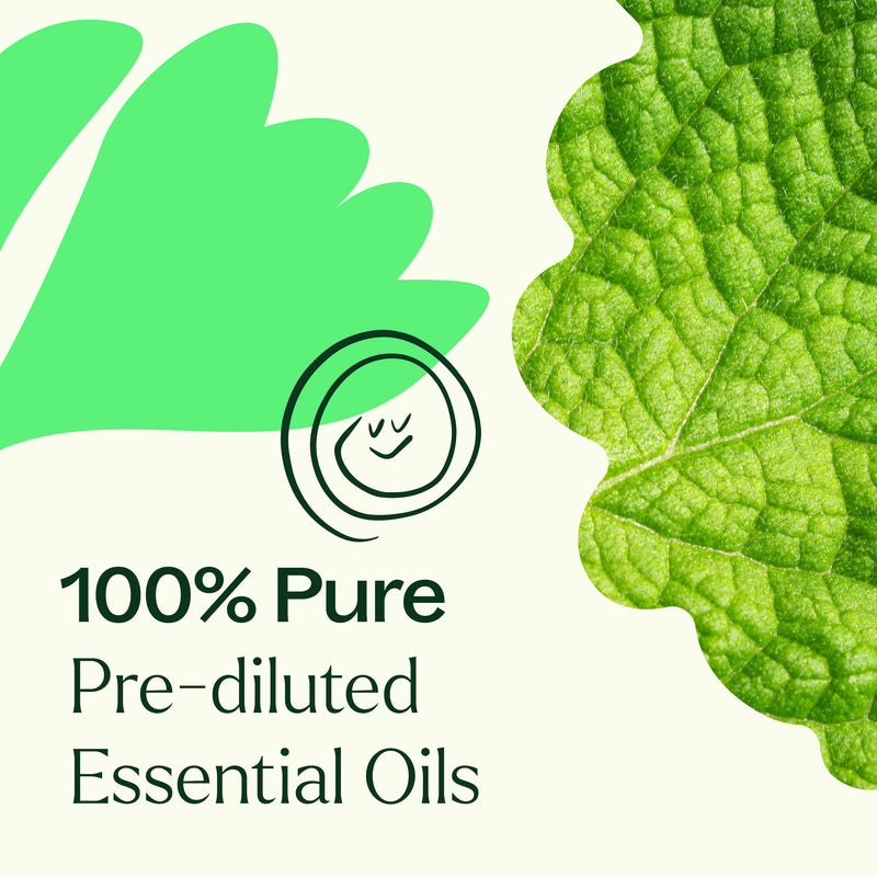 Plant Therapy Gut Aid™ Essential Oil Blend Pre-Diluted Roll-On Essential Oil