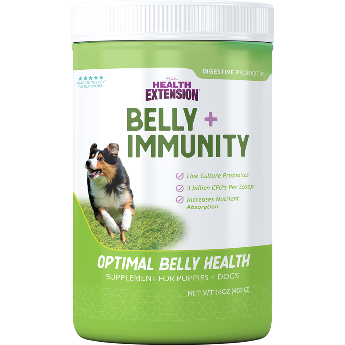 BELLY + IMMUNITY Digestive Probiotic Supplement