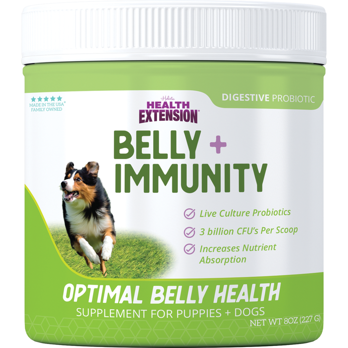 BELLY + IMMUNITY Digestive Probiotic Supplement