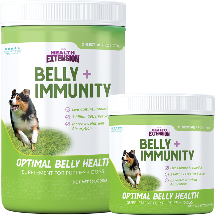 BELLY + IMMUNITY Digestive Probiotic Supplement