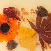 Rosy Rings Harvest Pumpkin 13 oz Botanical Reed Diffuser 13oz Botanical Diffuser